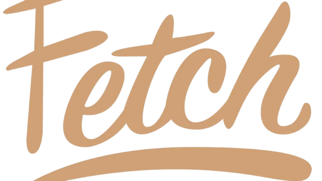 fetch logo